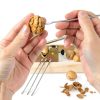 NIZODO Heavy Duty Adjustable Nut Cracker with Storage Box-1